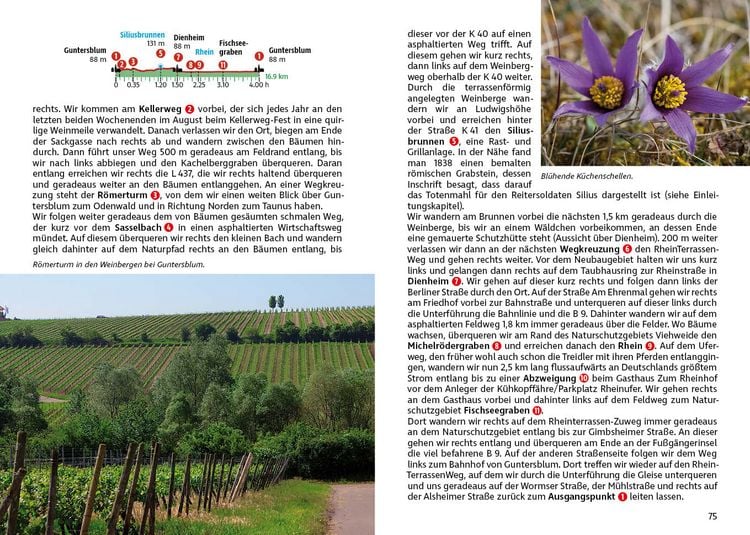 Produktbild: ROTHER Wanderf&uuml;hrer Rheinhessen