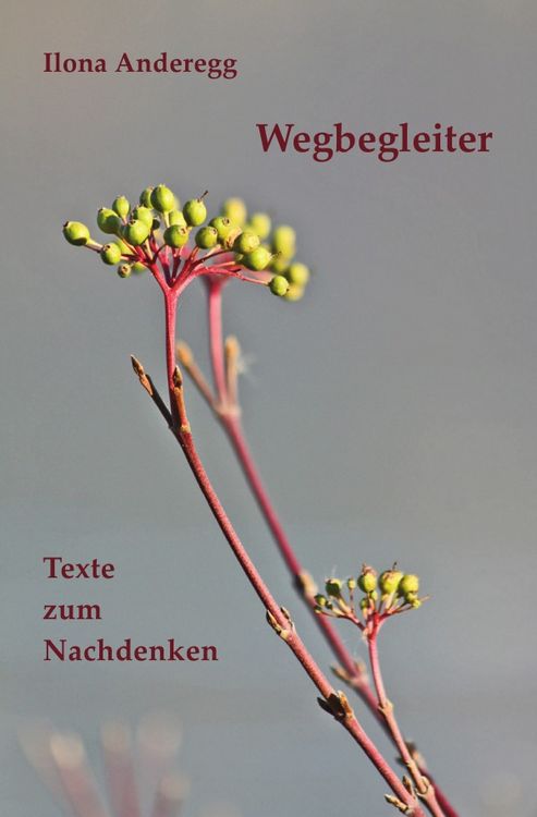 Produktbild: Wegbegleiter