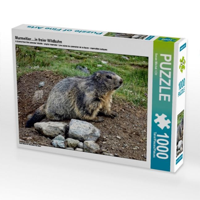 Produktbild: CALVENDO Puzzle Murmeltier....in freier Wildbahn | 1000 Teile Lege-Gr&ouml;&szlig;e 64x48cm Foto-Puzzle f&uuml;r gl&uuml;ckliche Stunden