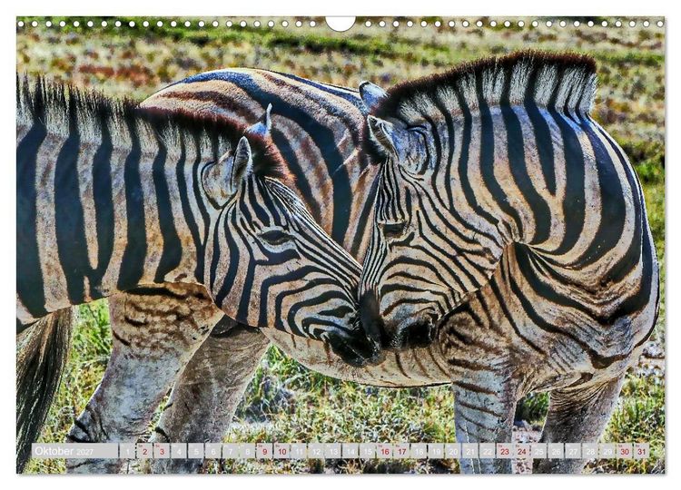 Produktbild: Namibia &ndash; Die Tierwelt vom Caprivi bis Etosha (Wandkalender 2027 DIN A3 quer), CALVENDO Monatskalender