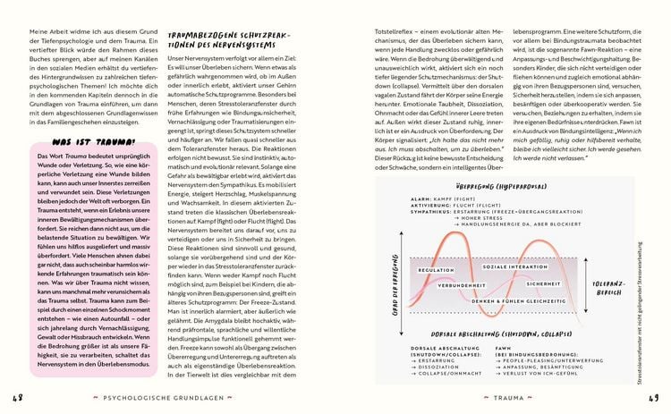 Produktbild: FamilienFIRE und andere Triggertage &ndash; Wie du weich landest, wenn du in alte Beziehungsmuster zur&uuml;ckf&auml;llst.