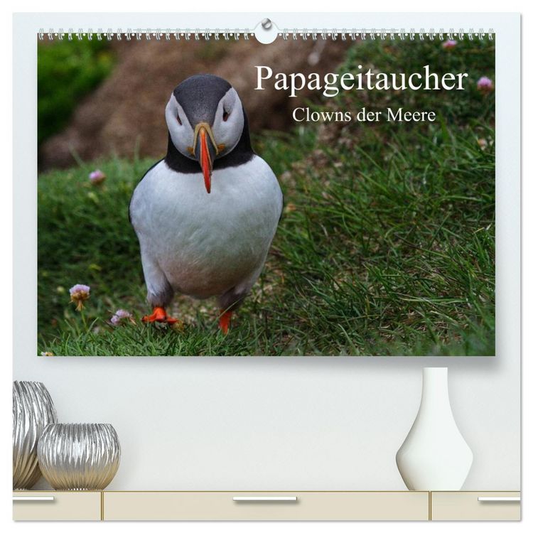 Produktbild: Papageitaucher Clowns der Meere (hochwertiger Premium Wandkalender 2026 DIN A2 quer), Kunstdruck in Hochglanz