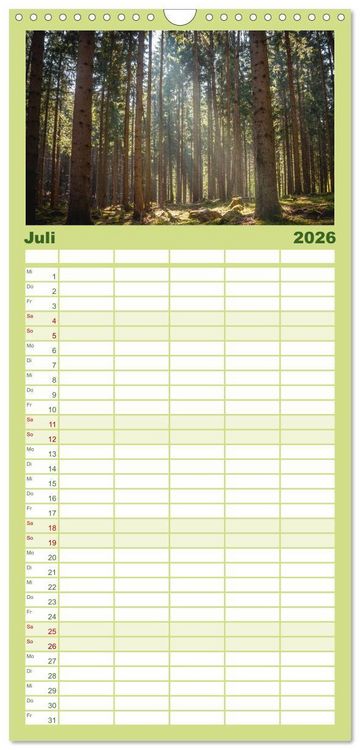 Produktbild: Familienplaner 2026 - Magischer Harzwald mit 5 Spalten (Wandkalender, 21 x 45 cm) CALVENDO