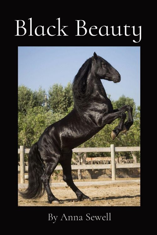 Produktbild: Black Beauty