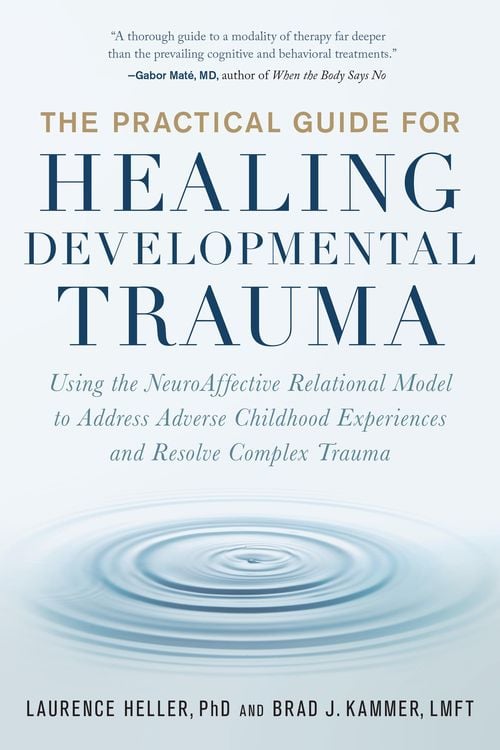 Produktbild: The Practical Guide for Healing Developmental Trauma