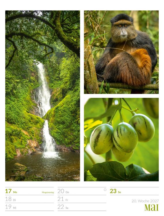 Produktbild: Farben der Natur Wochenplaner Kalender 2027