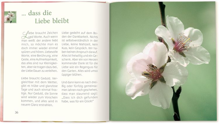 Produktbild: &hellip; dass die Liebe bleibt