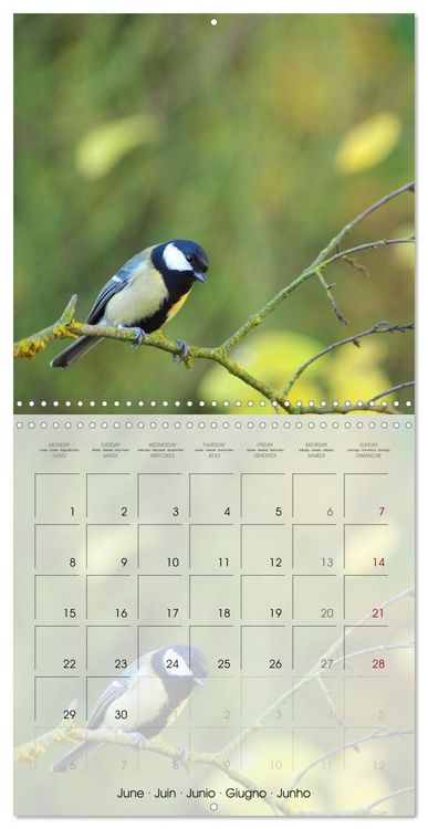 Produktbild: Le jardin des m&eacute;sanges (Calendrier mural carr&eacute; 2026 30x30 cm) Calendrier double avec une page pour vos prises de notes