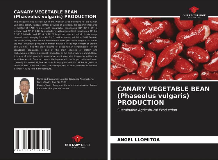 Produktbild: Canary Vegetable Bean (phaseolus Vulgaris) Production