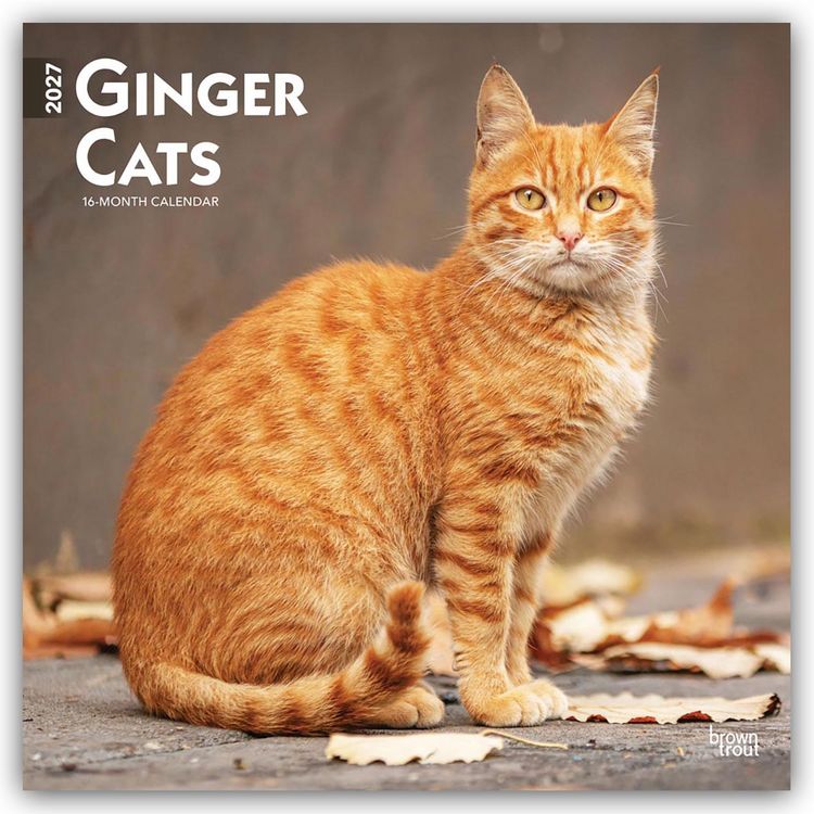 Produktbild: Ginger Cats &ndash; Gingerkatzen &ndash; Rote Katzen 2027 &ndash; 16-Monatskalender