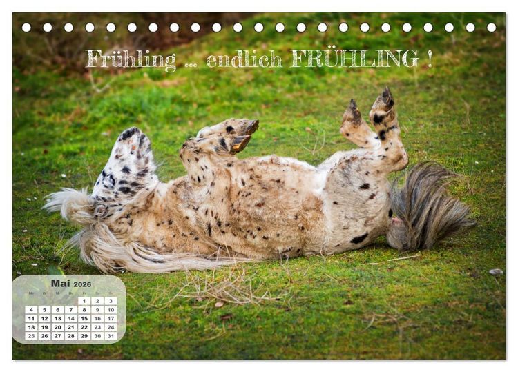 Produktbild: Tierisch und Heiter - Das Leben geht weiter 2026 (Tischkalender 2026 DIN A5 quer), CALVENDO Monatskalender