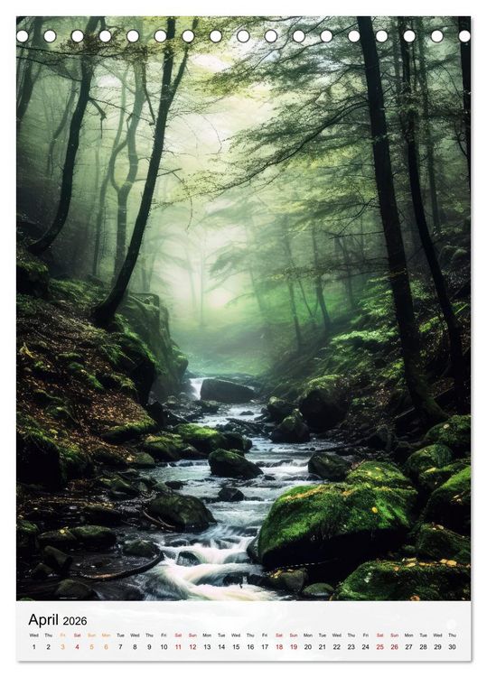 Produktbild: Dreamscapes of the Forest (Desk Calendar 2026 DIN A5 portrait), CALVENDO 12 Month DeskCalendar