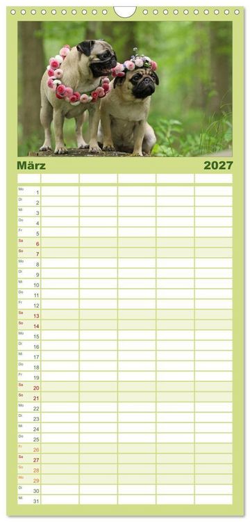 Produktbild: Familienplaner 2027 - Der MOPS-Kalender mit 5 Spalten (Wandkalender, 21 x 45 cm) CALVENDO