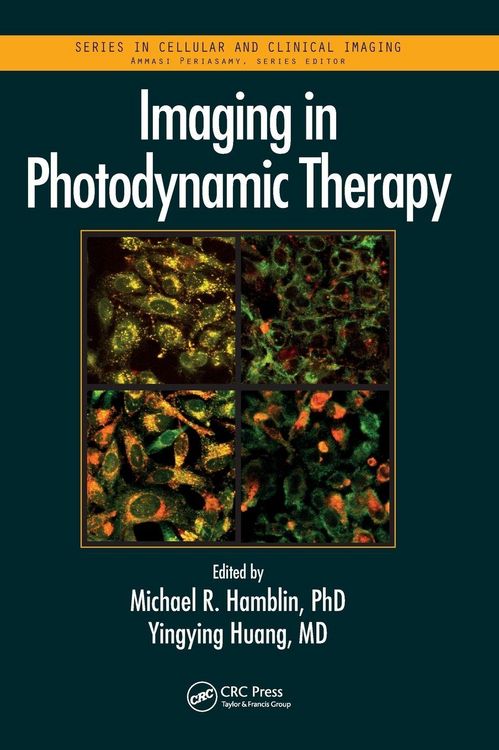 Produktbild: Imaging in Photodynamic Therapy