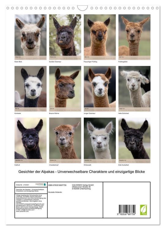 Produktbild: Gesichter der Alpakas - Unverwechselbare Charaktere und einzigartige Blicke (Wandkalender 2026 DIN A3 hoch), CALVENDO Monatskalender