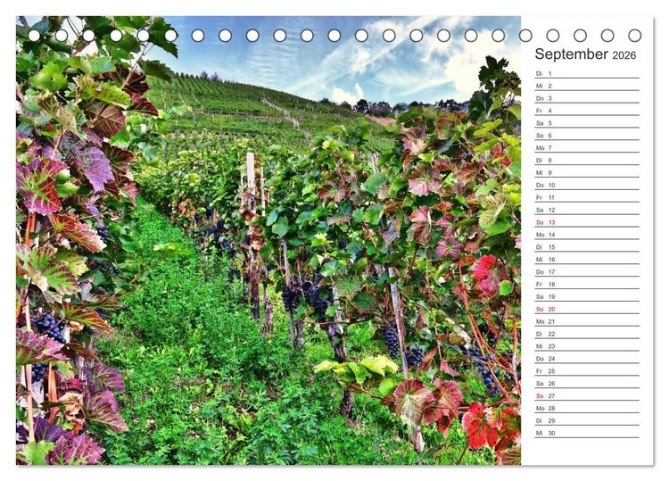 Produktbild: Bildsch&ouml;n - Die Mosel (Tischkalender 2026 DIN A5 quer), CALVENDO Monatskalender