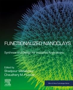 Produktbild: Functionalized Nanoclays