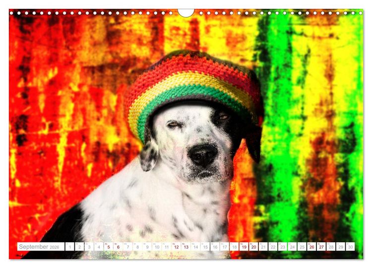 Produktbild: Hund tr&auml;gt Hut (Wandkalender 2026 DIN A3 quer), CALVENDO Monatskalender