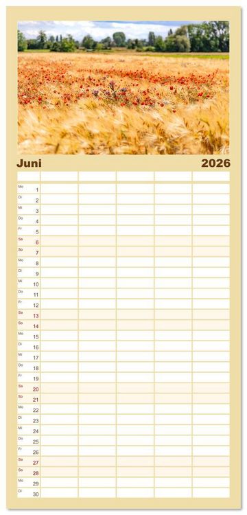 Produktbild: Familienplaner 2026 - Bunter Pf&auml;lzerwald mit 5 Spalten (Wandkalender, 21 x 45 cm) CALVENDO