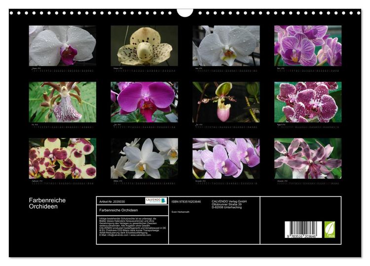 Produktbild: Farbenreiche Orchideen (Wandkalender 2026 DIN A3 quer), CALVENDO Monatskalender