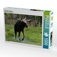 Produktbild: CALVENDO Puzzle Gr&ouml;n&aring;sen Elchpark 1000 Teile Lege-Gr&ouml;&szlig;e 64 x 48 cm Foto-Puzzle Bild von Udo Haafke