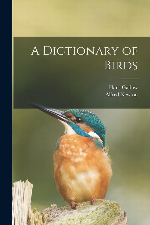 Produktbild: A Dictionary of Birds