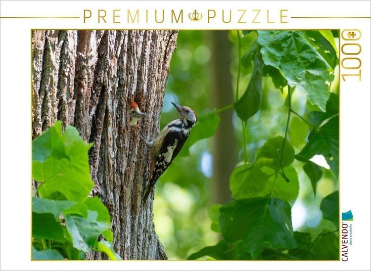 Produktbild: CALVENDO Puzzle Mittelspecht | 1000 Teile Lege-Gr&ouml;&szlig;e 64x48cm Foto-Puzzle f&uuml;r gl&uuml;ckliche Stunden
