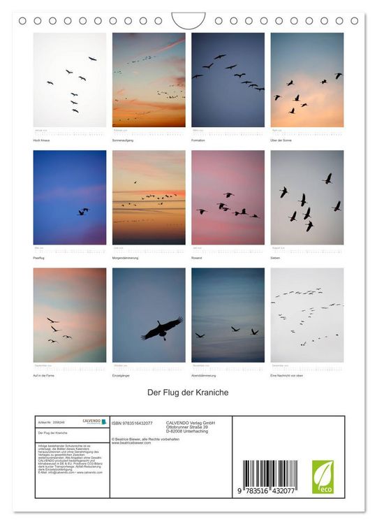 Produktbild: Der Flug der Kraniche (Wandkalender 2026 DIN A4 hoch), CALVENDO Monatskalender