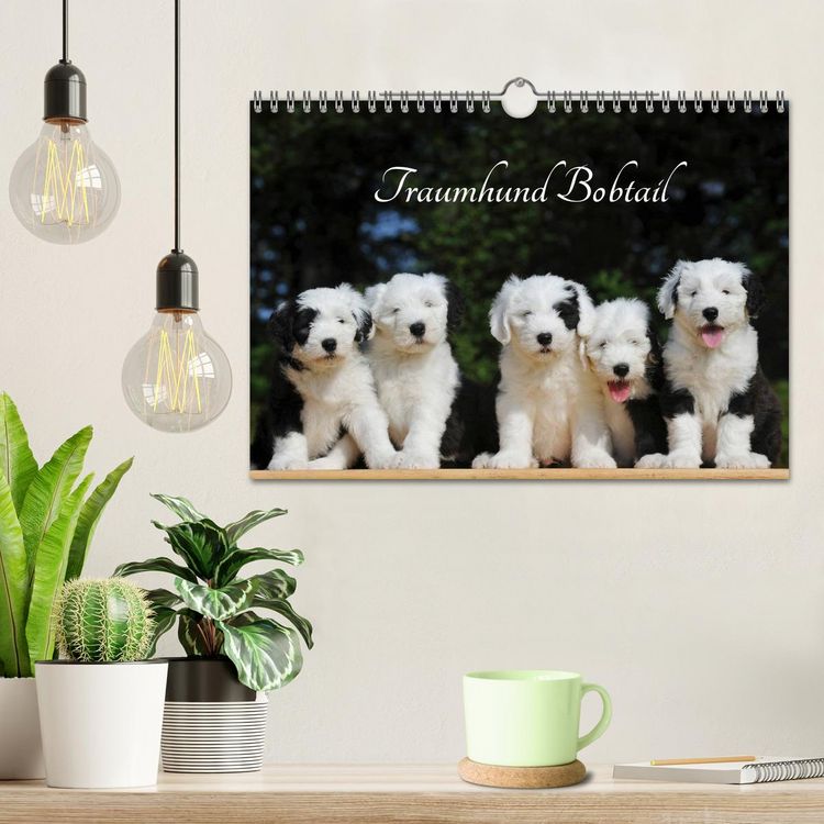 Produktbild: Traumhund Bobtail (Wandkalender 2026 DIN A4 quer), CALVENDO Monatskalender