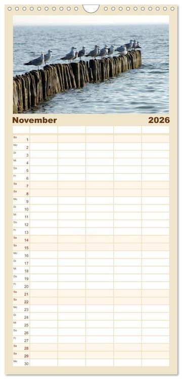 Produktbild: Familienplaner 2026 - R&uuml;gen PUR mit 5 Spalten (Wandkalender, 21 x 45 cm) CALVENDO