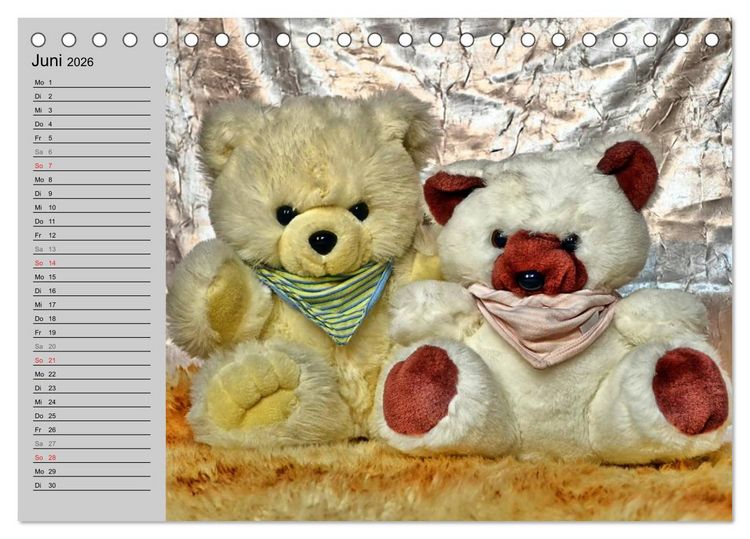 Produktbild: TEDDYB&Auml;R, OH TEDDYB&Auml;R... (Tischkalender 2026 DIN A5 quer), CALVENDO Monatskalender