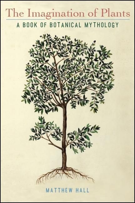 Produktbild: The Imagination of Plants