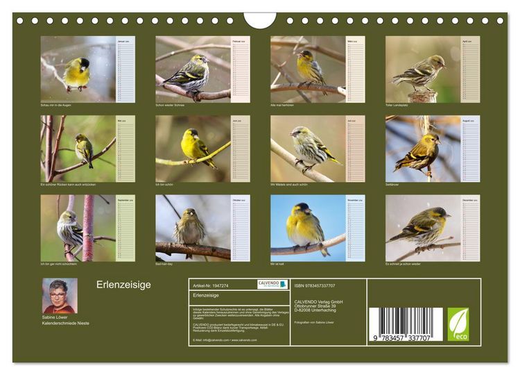 Produktbild: Erlenzeisige (Wandkalender 2026 DIN A4 quer), CALVENDO Monatskalender