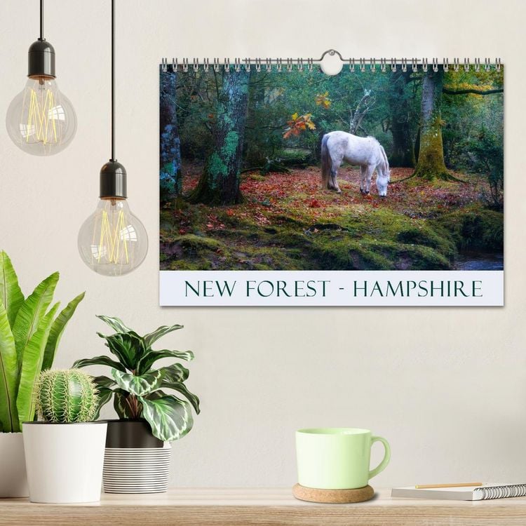 Produktbild: New Forest Hampshire (Wall Calendar 2026 DIN A4 landscape), CALVENDO 12 Month Wall Calendar