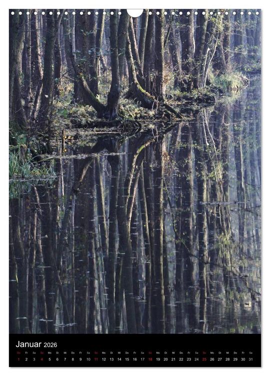 Produktbild: Wunderbarer Spreewald (Wandkalender 2026 DIN A3 hoch), CALVENDO Monatskalender