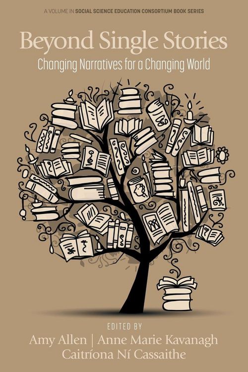 Produktbild: Beyond Single Stories