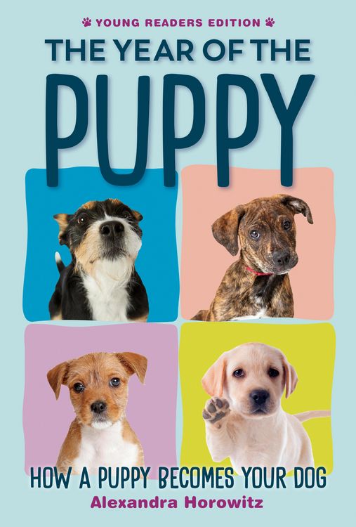 Produktbild: The Year of the Puppy