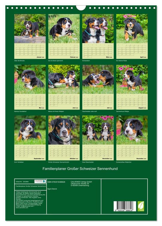 Produktbild: Familienplaner Gro&szlig;er Schweizer Sennenhund (Wandkalender 2026 DIN A3 hoch), CALVENDO Monatskalender
