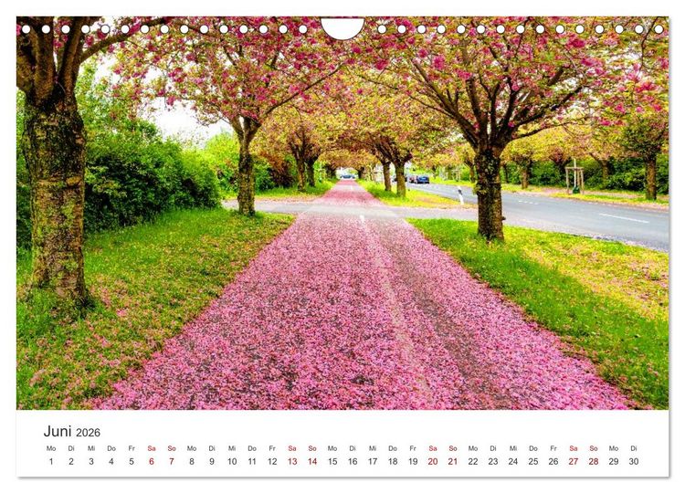 Produktbild: Deutschland: Magdeburg, Stadtansichten und Umgebung (Wandkalender 2026 DIN A4 quer), CALVENDO Monatskalender
