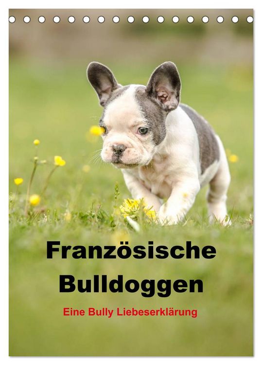 Produktbild: Franz&ouml;sische Bulldoggen - Eine Bully Liebeserk&auml;rung (Tischkalender 2026 DIN A5 hoch), CALVENDO Monatskalender