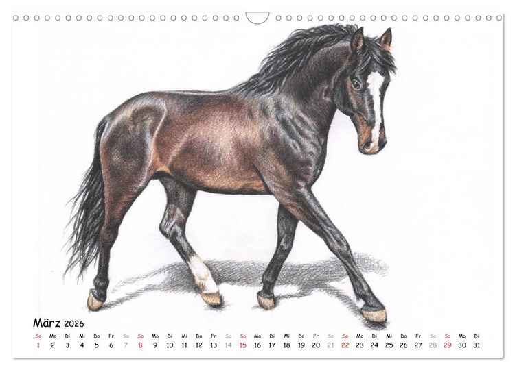 Produktbild: Arts & Horses (Wandkalender 2026 DIN A3 quer), CALVENDO Monatskalender
