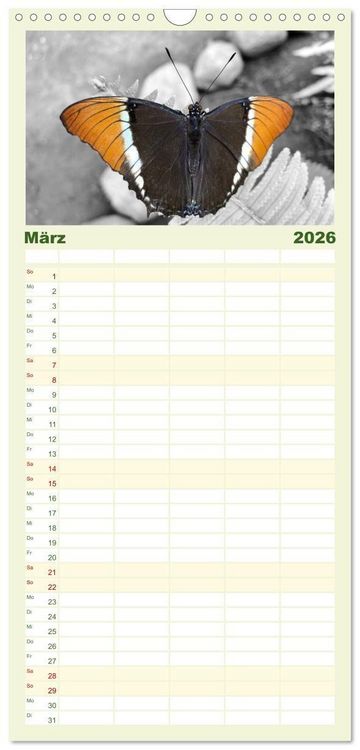 Produktbild: Familienplaner 2026 - Gefl&uuml;gelte Sch&ouml;nheiten der Tropen mit 5 Spalten (Wandkalender, 21 x 45 cm) CALVENDO