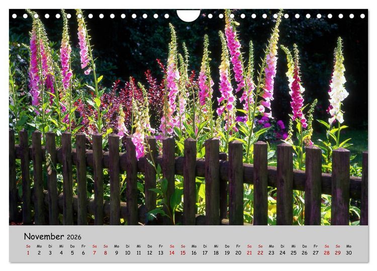 Produktbild: Blumen &uuml;berall, zur Freude Menschen (Wandkalender 2026 DIN A4 quer), CALVENDO Monatskalender