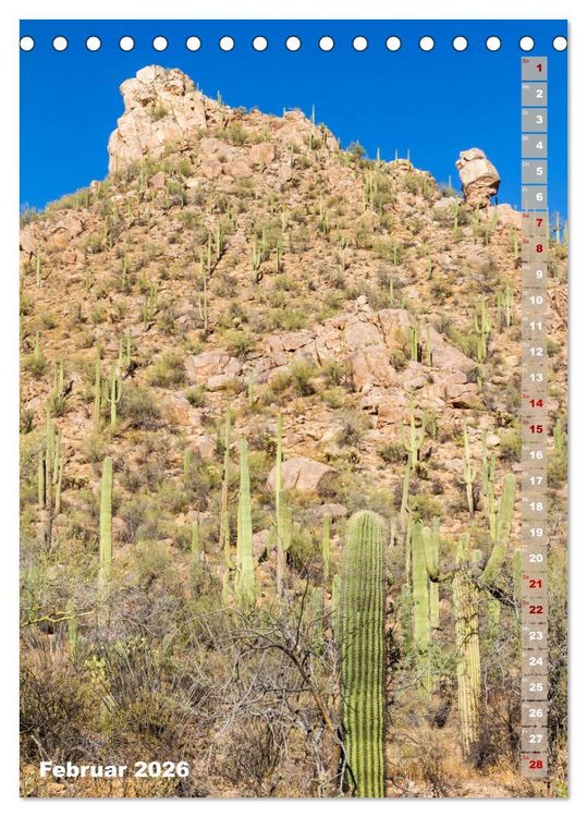 Produktbild: SAGUARO NATIONAL PARK W&uuml;stenimpressionen aus Arizona (Tischkalender 2026 DIN A5 hoch), CALVENDO Monatskalender