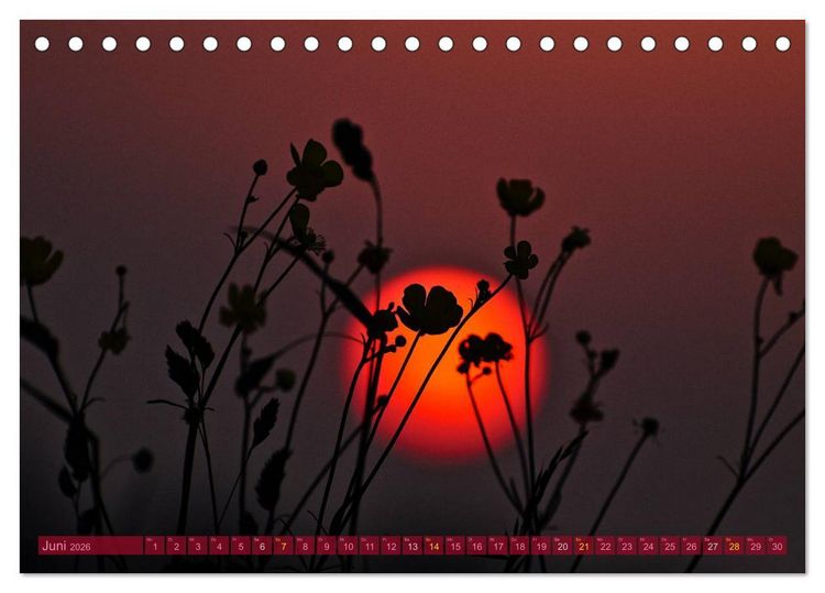 Produktbild: Die Sonne - 2026 (Tischkalender 2026 DIN A5 quer), CALVENDO Monatskalender