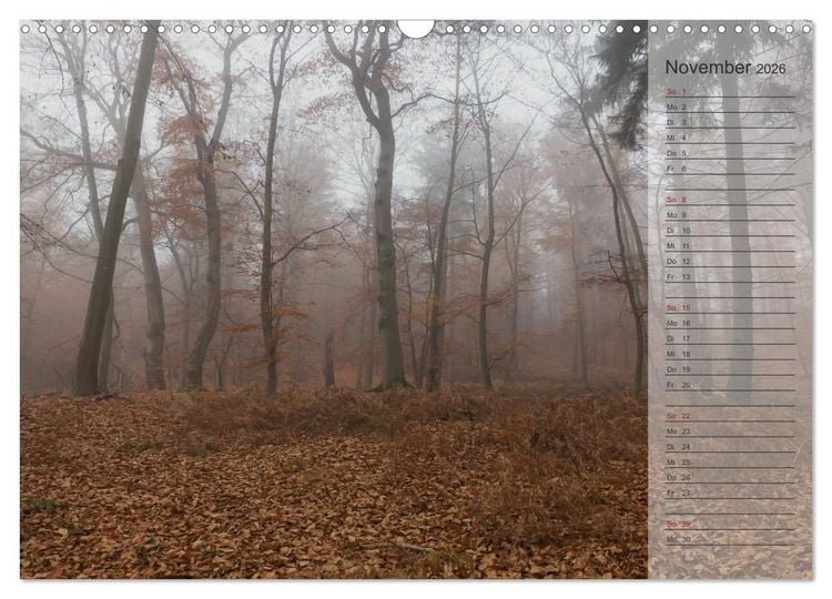 Produktbild: Unser Wald - Magische Sichten in norddeutsche W&auml;lder / Geburtstagskalender (Wandkalender 2026 DIN A3 quer), CALVENDO Monatskalender