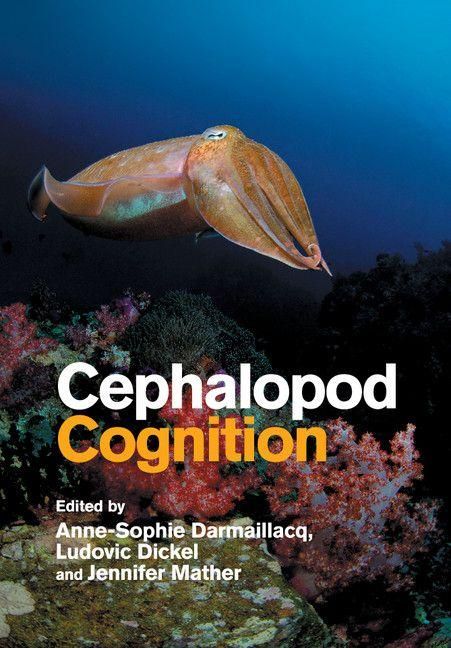 Produktbild: Cephalopod Cognition