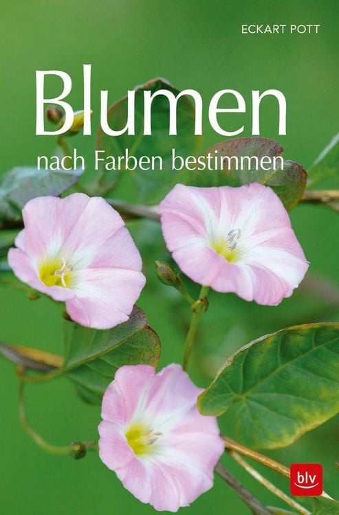 Produktbild: Blumen nach Farben bestimmen