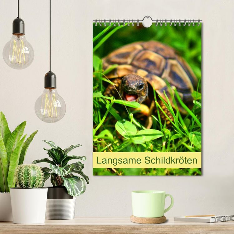 Produktbild: Langsame Schildkr&ouml;ten (Wandkalender 2026 DIN A4 hoch), CALVENDO Monatskalender
