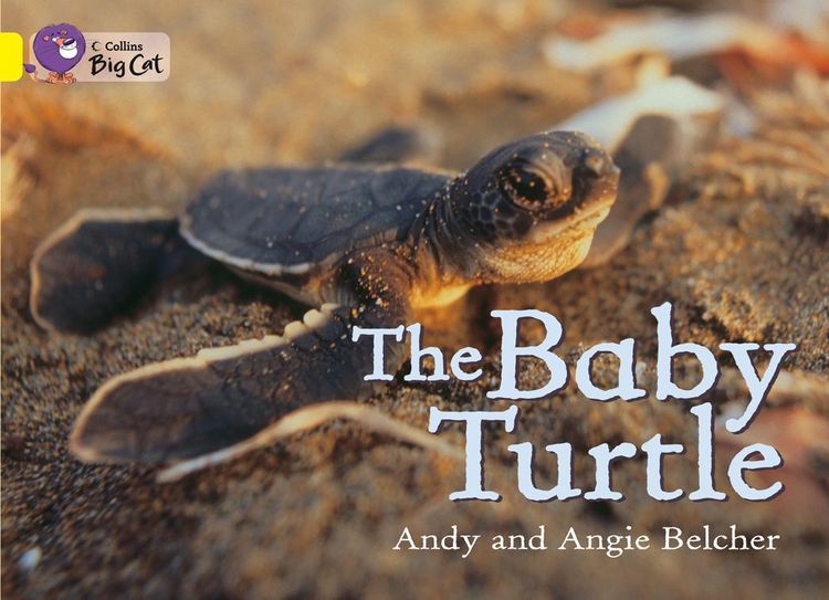 Produktbild: The Baby Turtle